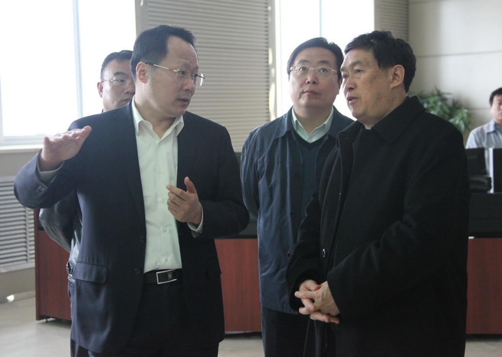 河北省委常委、常务副省长杨崇勇在国家风光储输示范电站调研